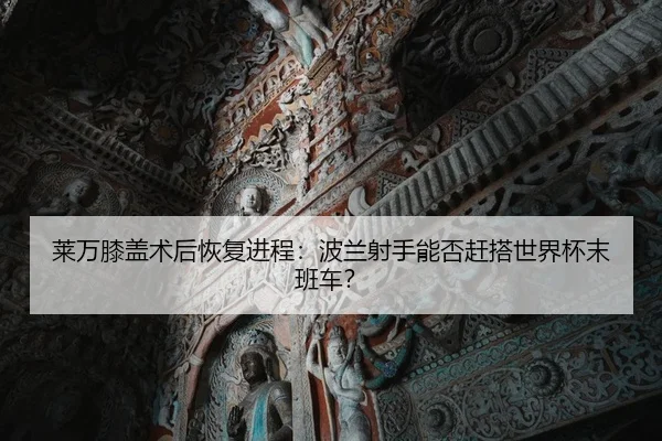 莱万膝盖术后恢复进程：波兰射手能否赶搭世界杯末班车？