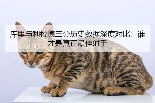 库里与利拉德三分历史数据深度对比：谁才是真正最佳射手